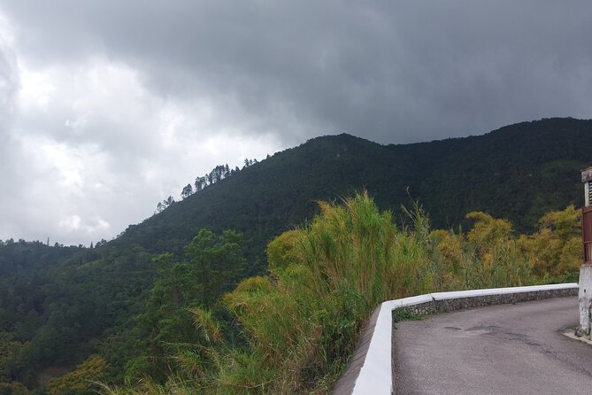 Blue Mountain Sight-Seeing & Nature Trail Hike with Private Guide - Should you book this Blue Mountains private hike with Island Kodesh Tours?