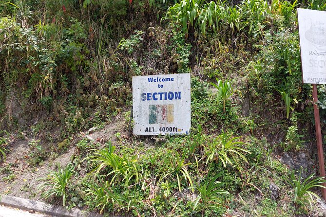 Blue Mountain Sight-Seeing & Nature Trail Hike with Private Guide - Irish Town: a quick, meaningful window into everyday Jamaica