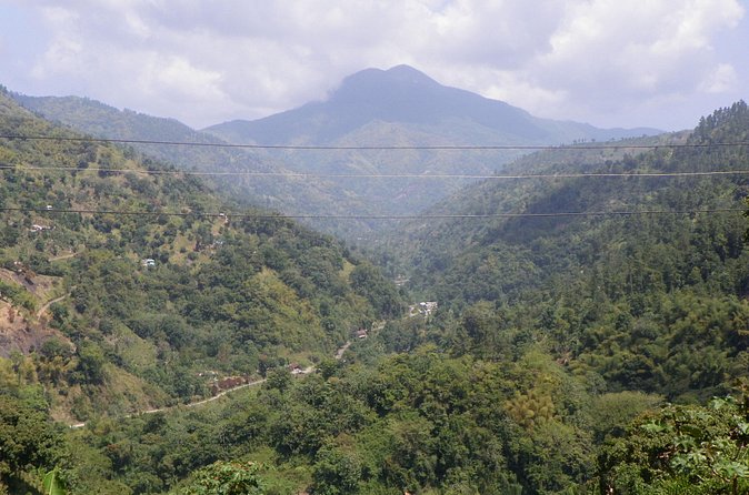 Blue Mountain Tour with Hotel Transportation - Two history-minded stops: Rio Nuevo St. Mary and Port Maria