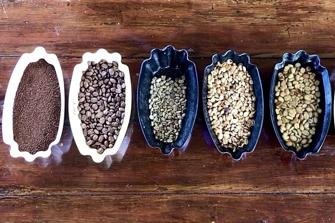 Blue Mountains Coffee Private Tour from Kingston - Key highlights I’d plan around