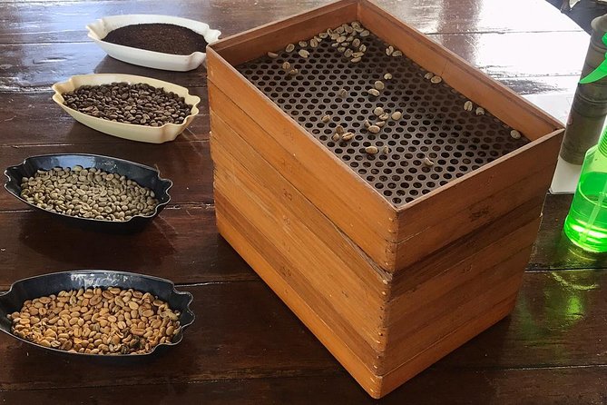 Blue Mountains Coffee Private Tour from Kingston - Why this private coffee tour feels worth your time