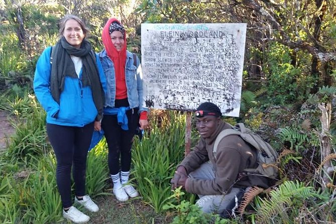 Blue Mountains Peak Hike - Port Antonio to the Trailhead: The 5:00 am Start and the Jeep Ride