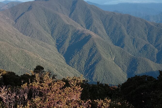 Blue Mountains Peak Hike - Off-Road to the Path Entrance, Then Back Down: A Real Day Plan