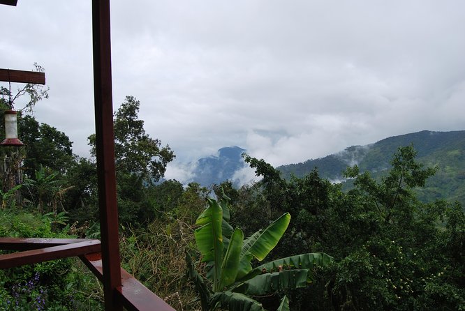 Blue Mountains Peak Hike - Price and Value: Is $260 a Smart Deal?