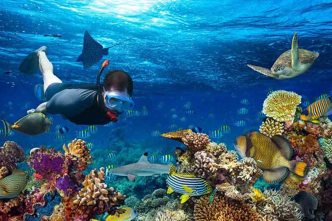 Boatride & Snorkeling then Margaritaville Hipstrip Activity - Price and Value: What $40 Covers, and What You Pay Separately