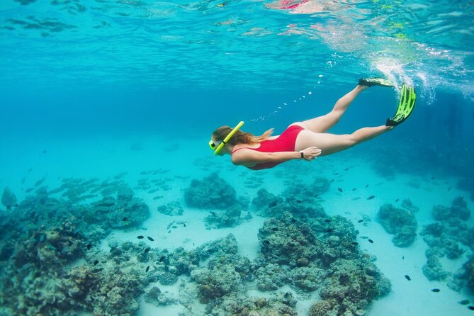Boatride & Snorkeling then Margaritaville Hipstrip Activity - Your Likely Itinerary Feel: A Tight, Enjoyable 3 Hours