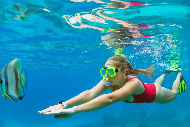 Boatride & Snorkeling then Margaritaville Hipstrip Activity - Pickup, Air-Conditioned Transport, and a Small-Group Pace