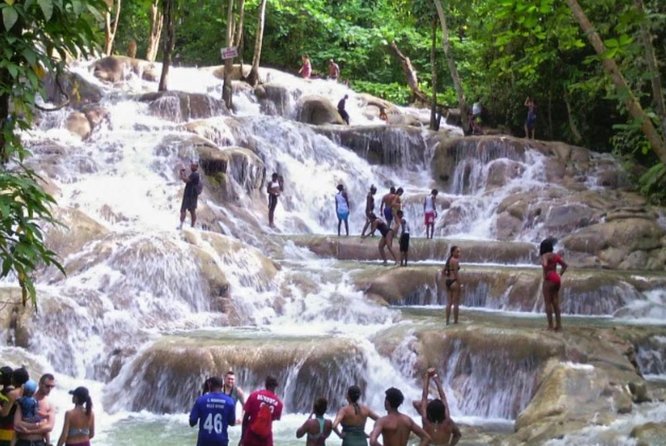 Bob Marley Nine Mile and Dunn's River Falls Tour From Montego Bay - Price and Logistics: What $330 Per Person Really Buys