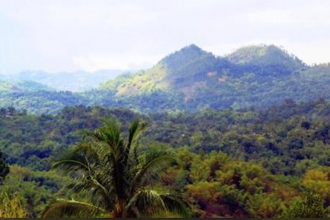 Bob Marley Nine Mile Home Private Tour from Montego Bay - Key highlights you should care about