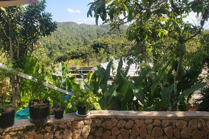 Bob Marley Nine Mile Home Private Tour from Montego Bay - Price and value: what $190 per person really buys