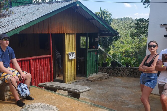 Bob Marley Nine Mile Home Private Tour from Montego Bay - Should you book this Bob Marley Nine Mile Home Private Tour?