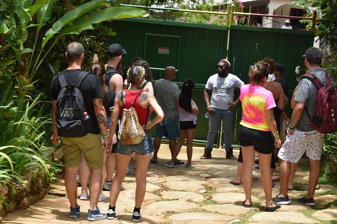Bob Marley's Nine Mile Admission and Guided Tour from Montego Bay - Why Nine Miles Works as a Montego Bay Day Trip