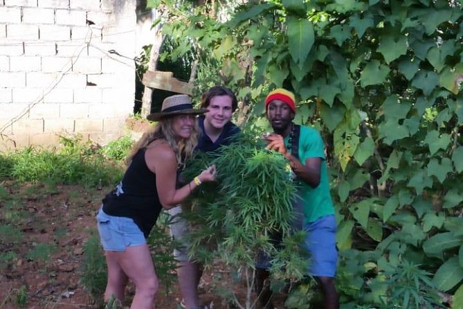 Bob Marley's Nine Mile & Dunns River Falls Tour: Transportation & Ticket - How the Guide Makes the Day Feel Tailored, Not Template