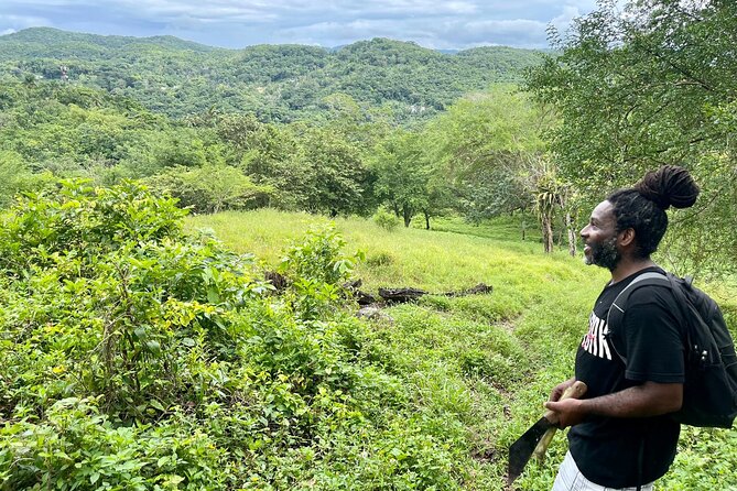 Bush Hiking to explore Wild Plants & Fresh Fruits,Montego Bay - Lethe Village History From a Guide Who Lives There
