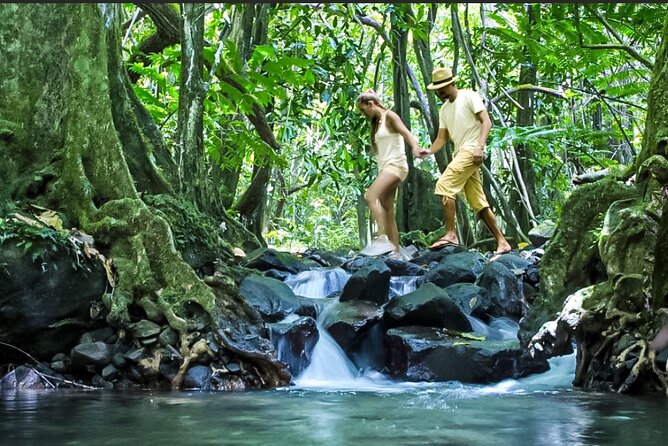 Bush Hiking to explore Wild Plants & Fresh Fruits,Montego Bay - Price and Value: Is $160 Worth It?