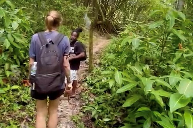 Bush Hiking to explore Wild Plants & Fresh Fruits,Montego Bay - From Bamboo Rafts to Trails: How the Two-Hour Plan Works