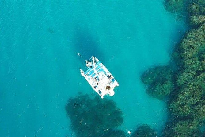 Catamaran, snorkeling & Dunn's River Falls - Key things I’d plan around