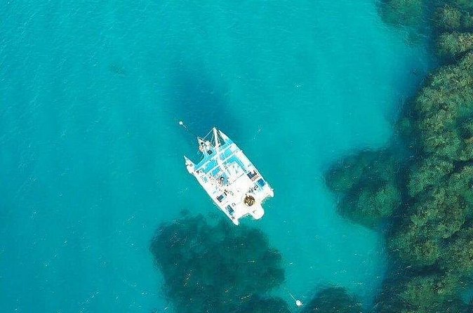 Catamaran, snorkeling & Dunn's River Falls - Dunn’s River Falls climb, guided time and how to make it easier