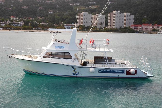 Certified 2-Tank Scuba Diving Tour from Montego Bay - What the North Coast Underwater Sessions Are Really Like