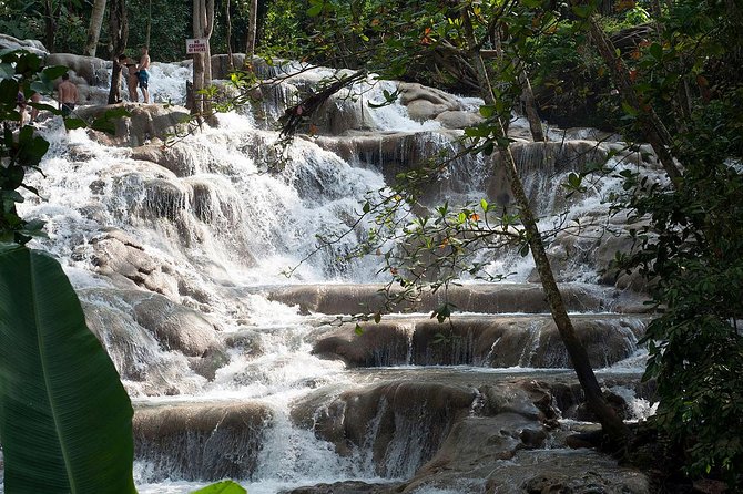 Chuck Norris Secret Falls and Dunn's River Falls - Dunn’s River Falls: Terraces, a Local Guide, and Choosing Your Level