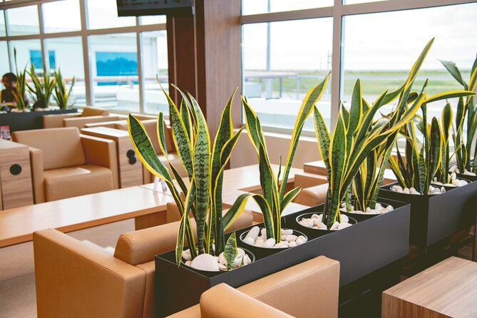 Club Mobay Sangster Airport VIP Lounge with Priority Entry - Inside the arrival lounge: calm after landing
