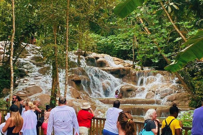 Combo Tour Dunn's River Falls and BlueTour from falmouth - Key things to know before you go