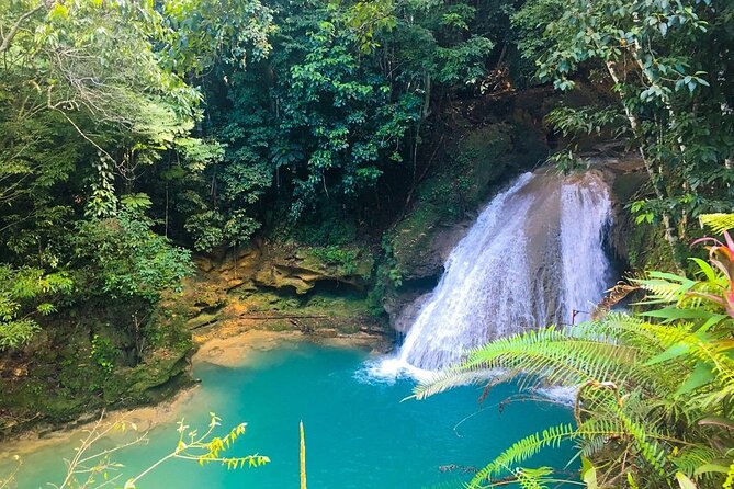 Combo Tour Dunn's River Falls and BlueTour from falmouth - Dunn’s River Falls: the 180 ft climb, the park, and kid-friendly breaks