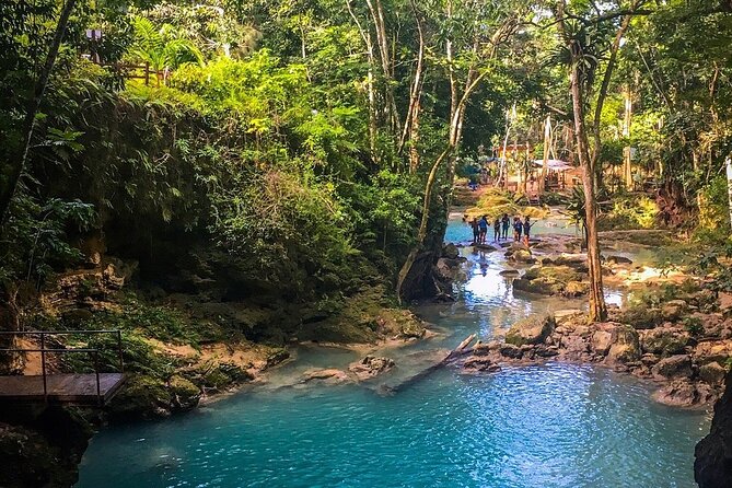 Combo Tour Dunn's River Falls and BlueTour from falmouth - Family-friendly, but bring moderate fitness expectations