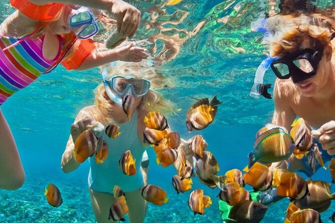 Customize Snorkeling with Option shopping Lunch & Stop local food - Key Highlights Worth Noticing