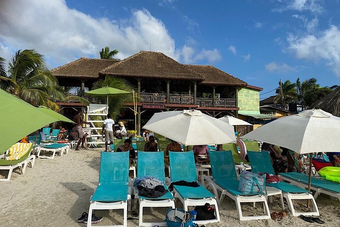 Day Tour Negril Beach & Ricks Cafe - Drivers Matter More Than You Think: Why Your Guide Makes This Tour Work