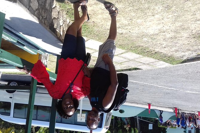 Day Trip to Dunn's River Falls from Montego Bay - The driver matters more than you think