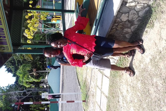 Day Trip to Dunn's River Falls from Montego Bay - The three-part flow, waterfall, swim, repeat