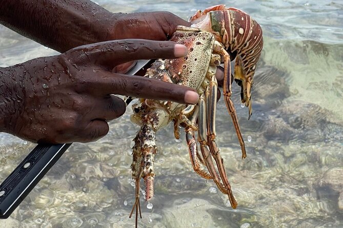 Day Trip to Negril from Montego Bay/Boat Ride to Booby Cay Island/Lobster Lunch - Booby Cay Island boat ride and beach lunch with lobster seasonally