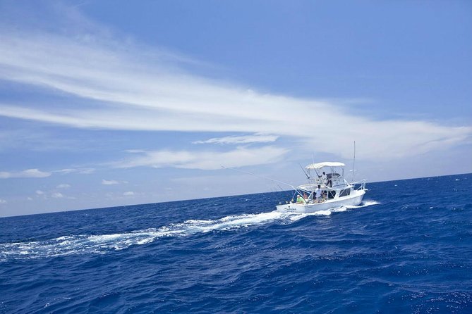 Deep Sea Sport Fishing From Montego Bay - Catch-and-release on board: the sustainability angle you will feel