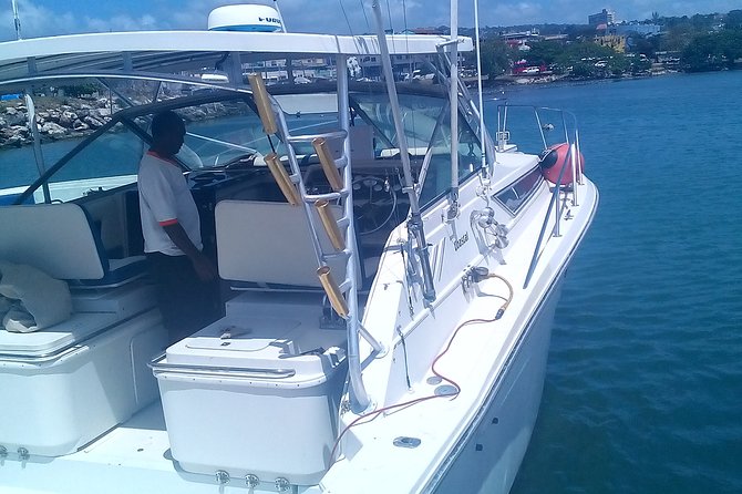 Discover Scuba Diving From Ocho Rios - Hotel Pickup, Gear Fitting, And The First Safety Check In Ocho Rios