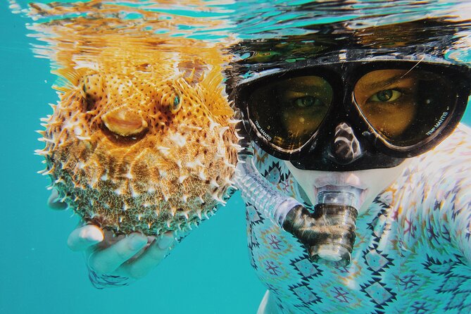 Discover Scuba Diving in Montego Bay-ONE Tank (First time Diving) - Gear and Comfort: Everything Provided