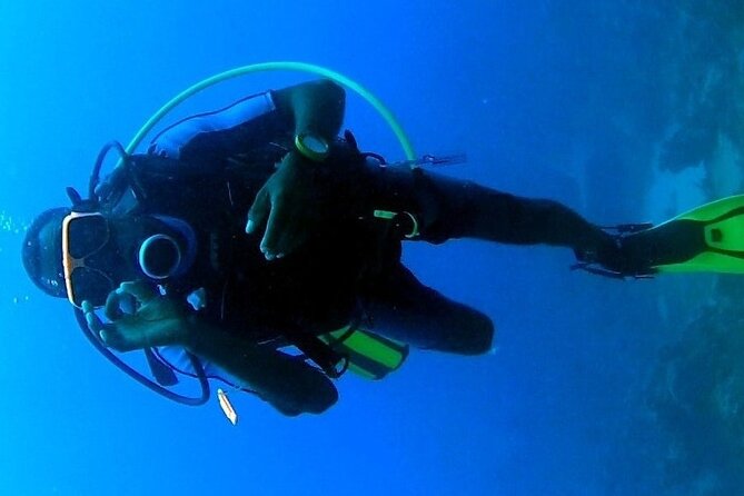 Discover Scuba Diving in Montego Bay-ONE Tank (First time Diving) - The One-Tank Open Water Session: Seeing Coral and Fish