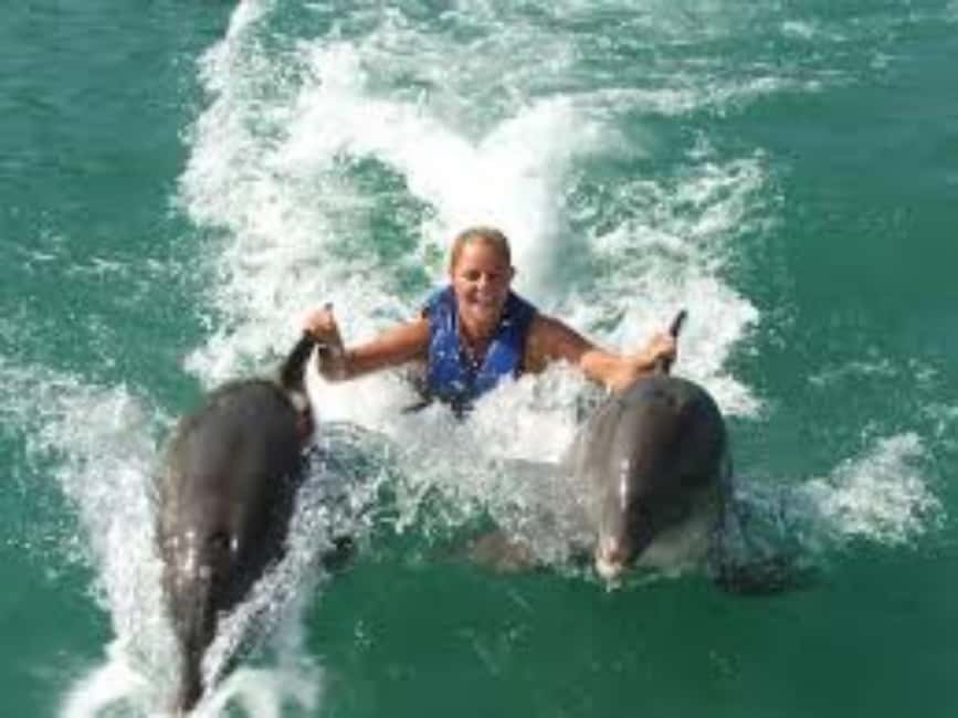 Dolphin Swim Adventure - Key things that make this dolphin swim feel like a real plan