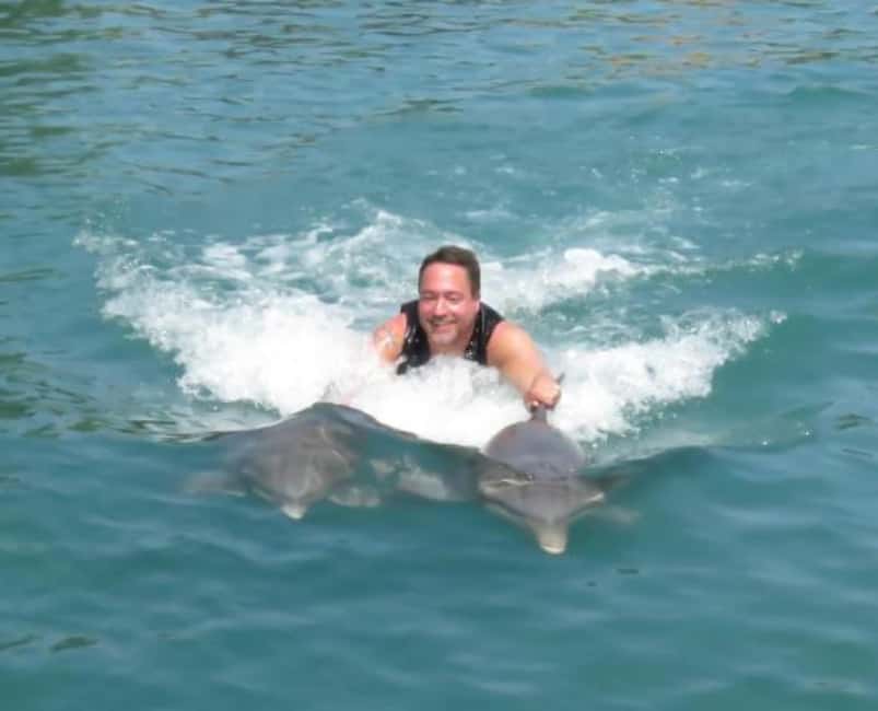 Dolphin Swim Adventure - Wading in: what the lagoon segment really feels like