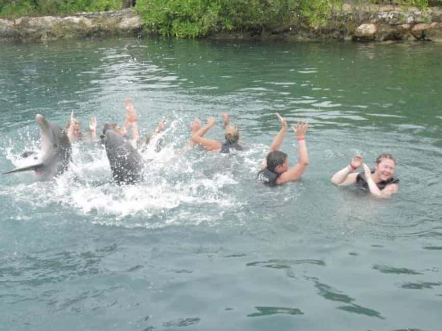Dolphin Swim Adventure - The guided intro: why dolphin communication comes first