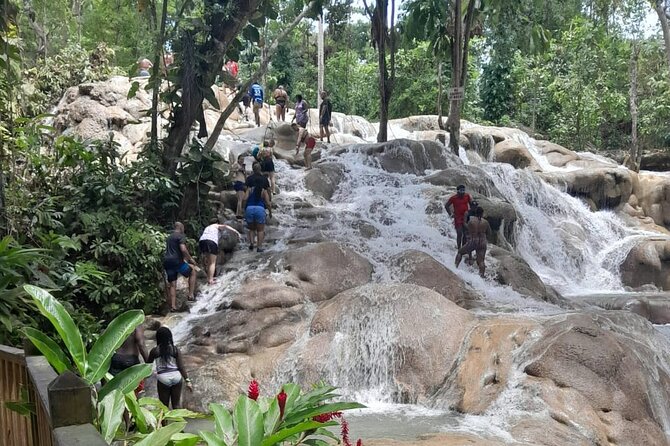 Dunn River Falls and Bamboo River Rafting in Ocho Rios Jamaica. - Who this tour suits best