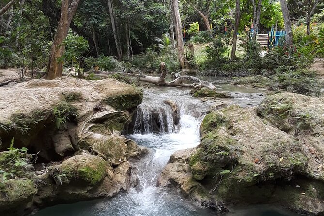 Dunn's Falls and Blue Hole Daytrip with Lunch from Montego Bay & Trelawny - Dunn’s River Falls: The 600ft Climb With a Guide