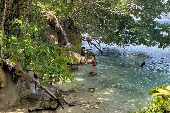 Dunn's Falls and Blue Hole Daytrip with Lunch from Montego Bay & Trelawny - Blue Hole River Adventure Park: Swim, Splash, and Swing