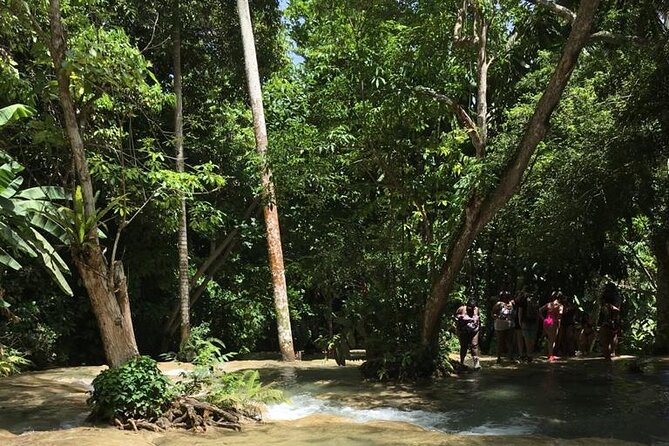 Dunn's River and Blue Hole Tour from Ocho Rios - Timing, weather, and how to plan your day in Ocho Rios