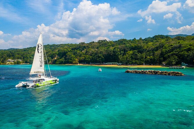 Dunn's River Catamaran Cruise From Ocho Rios - Meeting Dunn’s River Falls: The 600-Foot Human-Chain Climb
