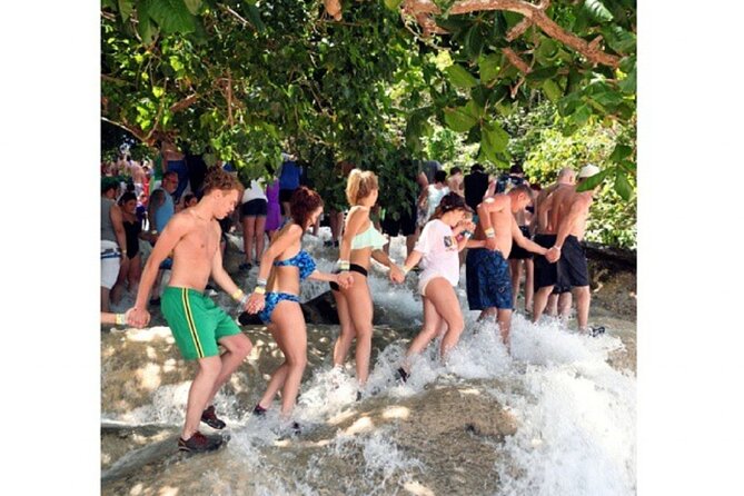 Dunn’s River Fall - Should You Book This Dunn’s River Falls and Blue Hole Private Tour?