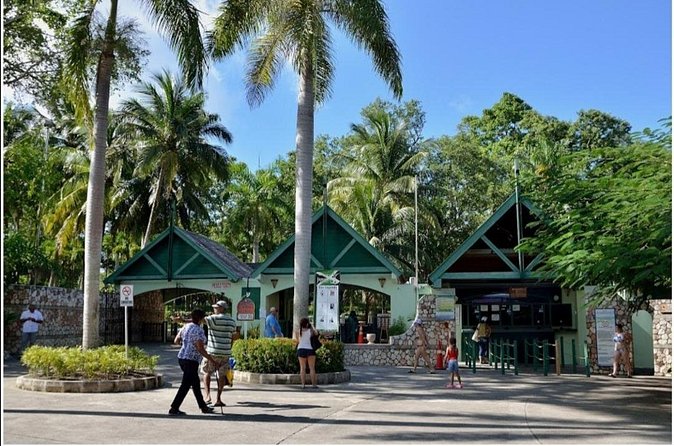 Dunn's River Fall's - Discovery Bay rest stop: the short break that saves your whole day