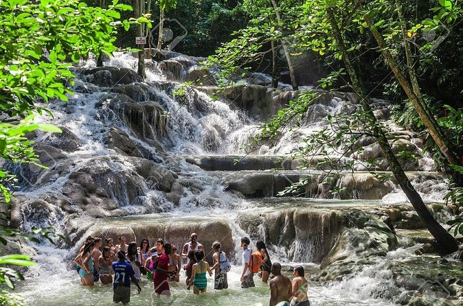 Dunn's River Falls and Horse Back Riding Excursion - Weather, Safety, and Physical Reality Check