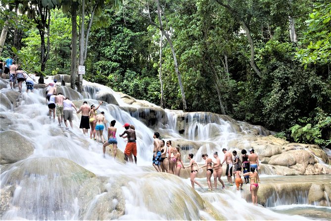 Dunn's River Falls and Ocho Rios Shopping Tour from Montego Bay Hotels - The 8:30 am start, bus ride comfort, and why timing matters