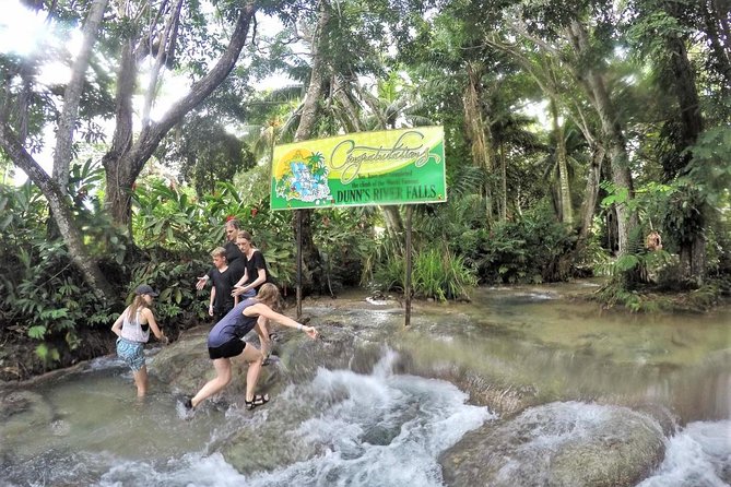 Dunn's River Falls and Ocho Rios Shopping Tour from Montego Bay Hotels - What you should know before you get wet
